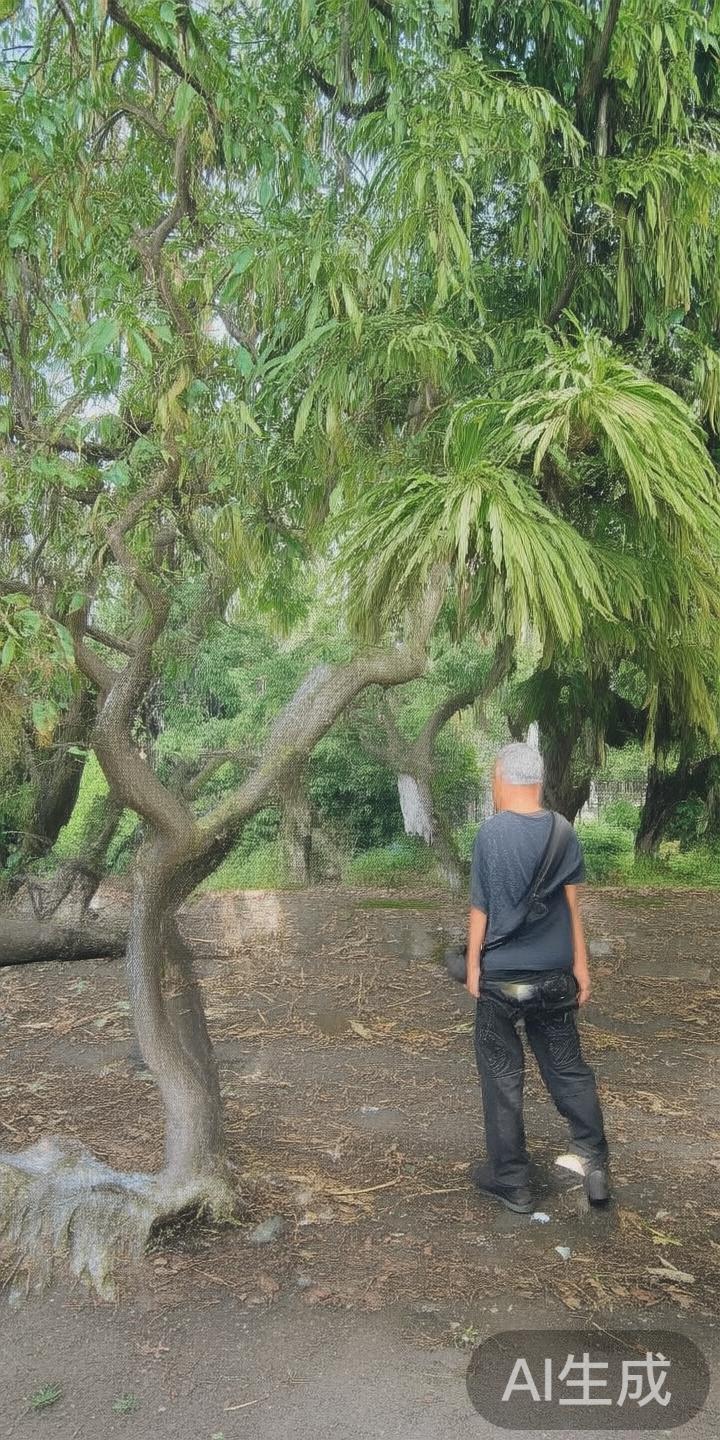 完美体育手机平台官网：第一手最新体育资讯和赛事信息全面掌握